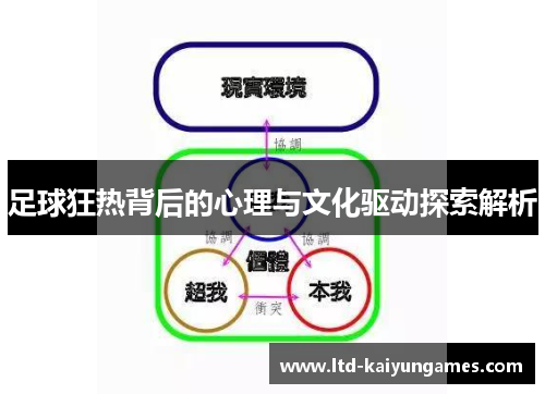 足球狂热背后的心理与文化驱动探索解析 足球狂热背后的心理与文化驱动探索解析